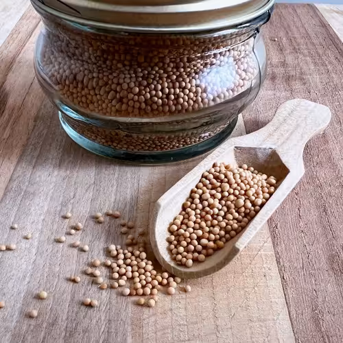 دانه خردل 100 گرمی