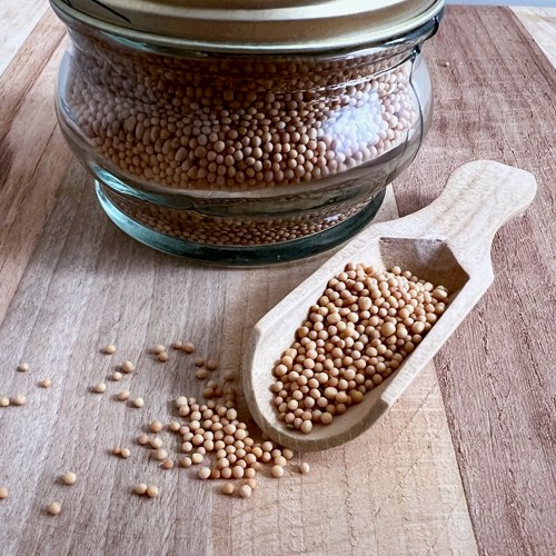 دانه خردل 100 گرمی