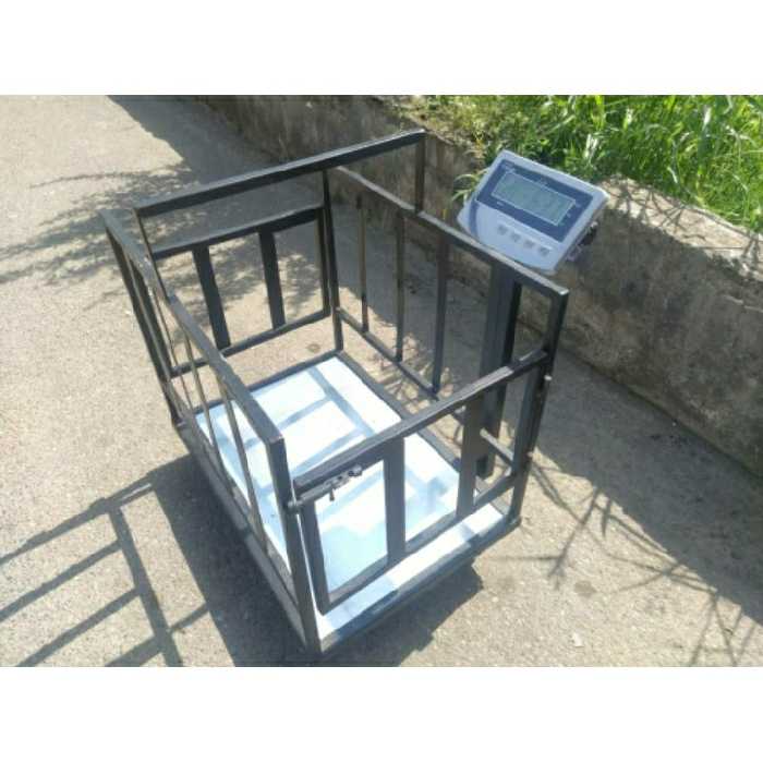 ترازو باسکول دامکش دو کاره 500 کیلویی کفه 55 در 80