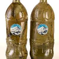 برگ مو درجه یک ارگانیک دماوند در آب و نمک 