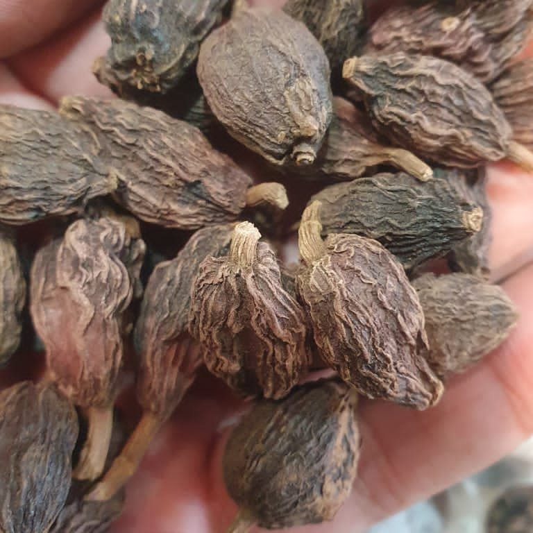 هل باد اعلا(3کیلویی)