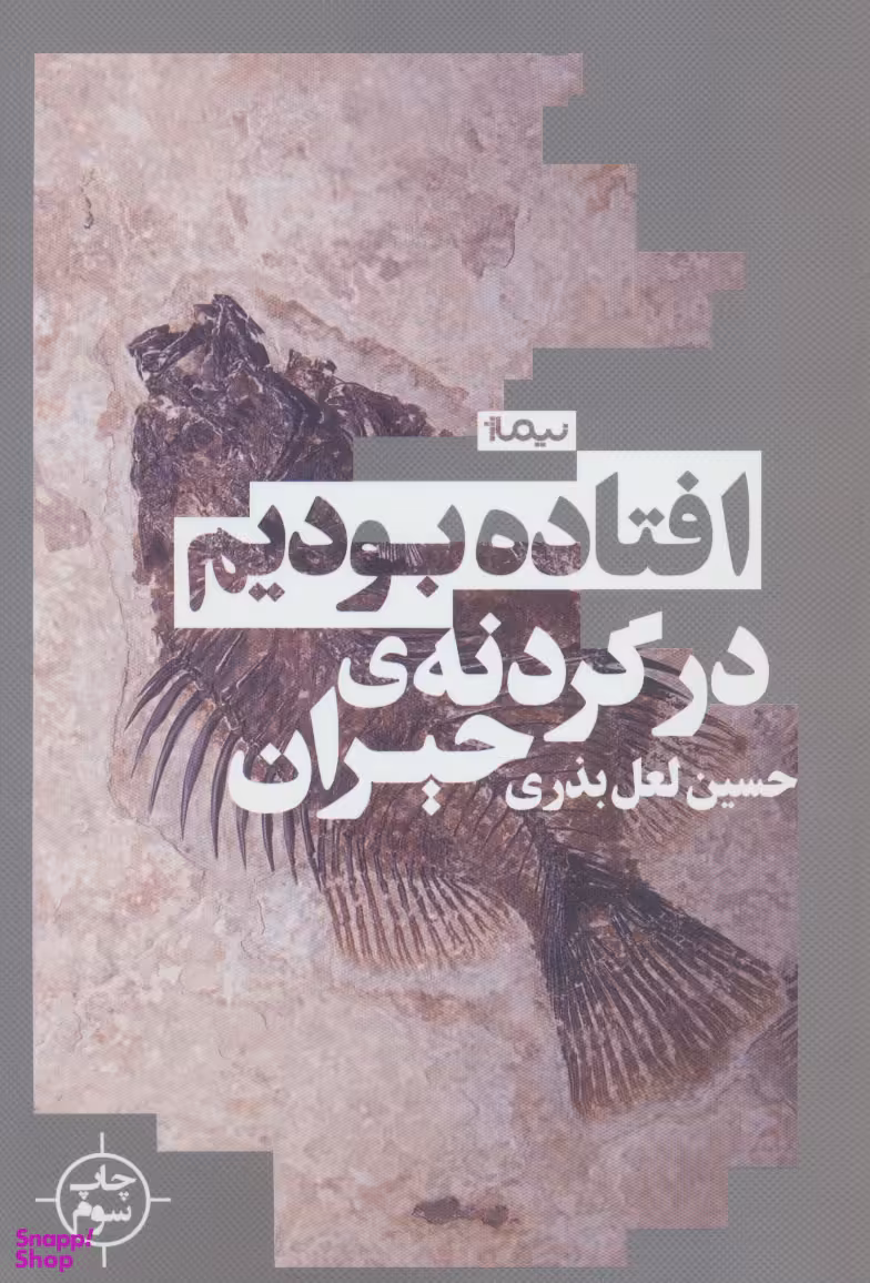 افتاده بودیم در گردنه حیران