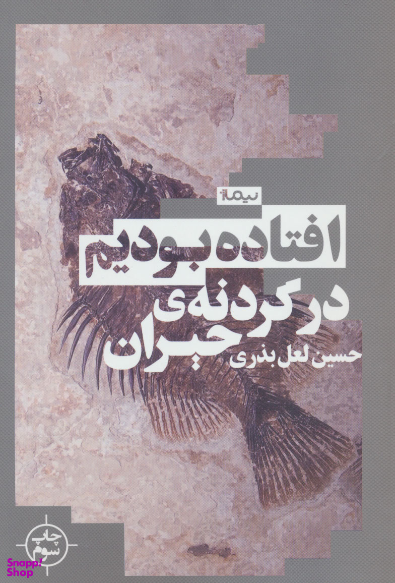 افتاده بودیم در گردنه حیران