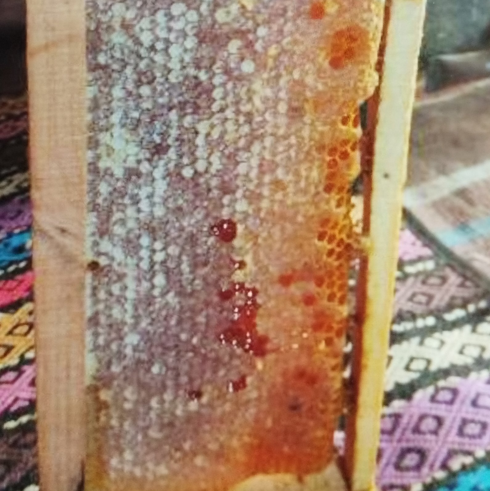 عسل طبیعی و ارگانیک نمدار.با ضمانت کیفیت.