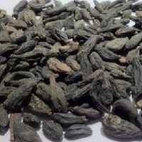 هلیله سیاه درشت 5ستاره فدک 80گرمی 