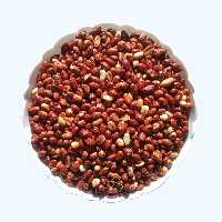 مغز بادام زمینی شور شاه تگ - نیم کیلوگرم 