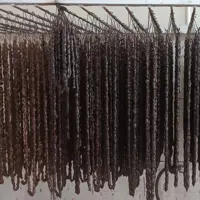 باسلوق گردویی شیره خرما بدون قند سوپر ممتاز سوغات ساوه کیلویی 260