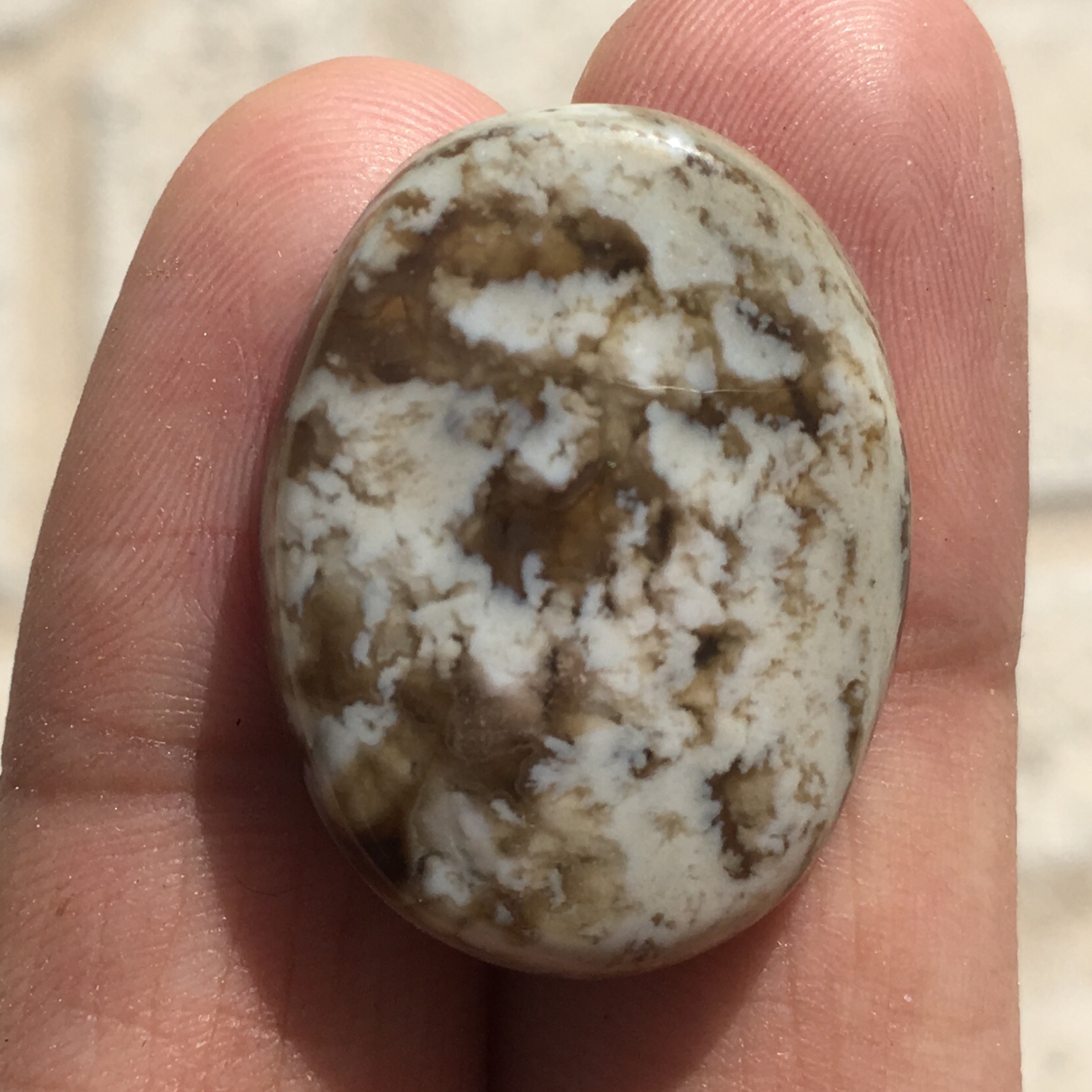 نگین عقیق شجر بلدرچینی