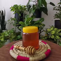 عسل گشنیزآبتین ارگانیک(نیم کیلویی)