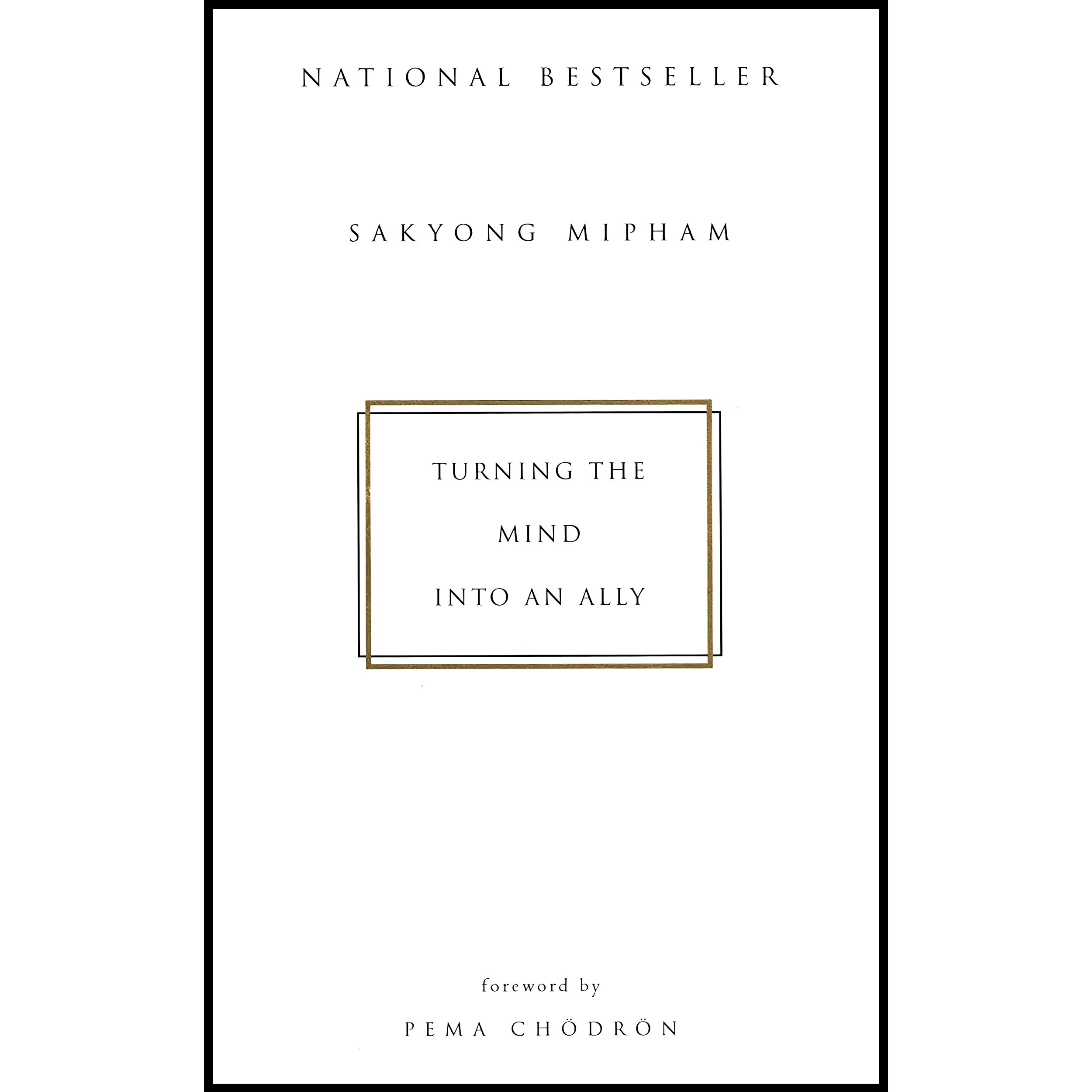 کتاب زبان اصلی Turning the Mind Into an Ally انتشارات Riverhead Books