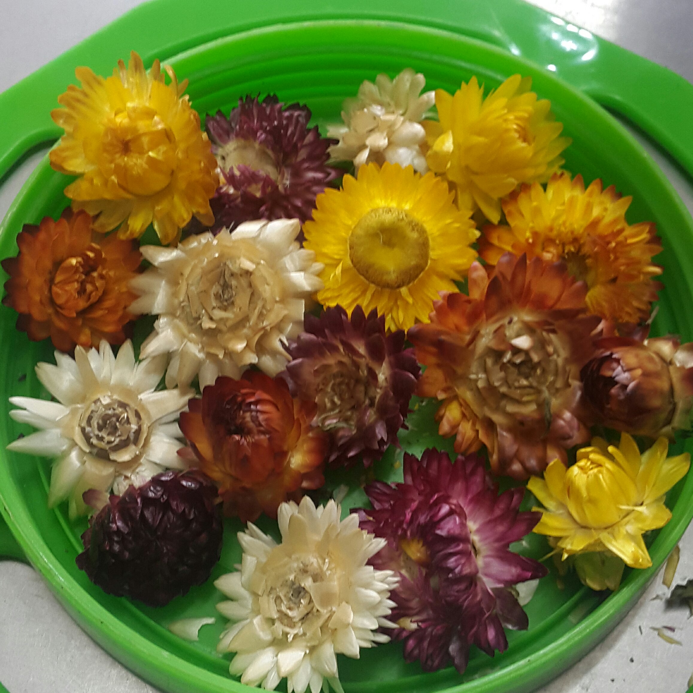 گل مینا خشک شده ( 50 گرم ) مخصوص دمنوش