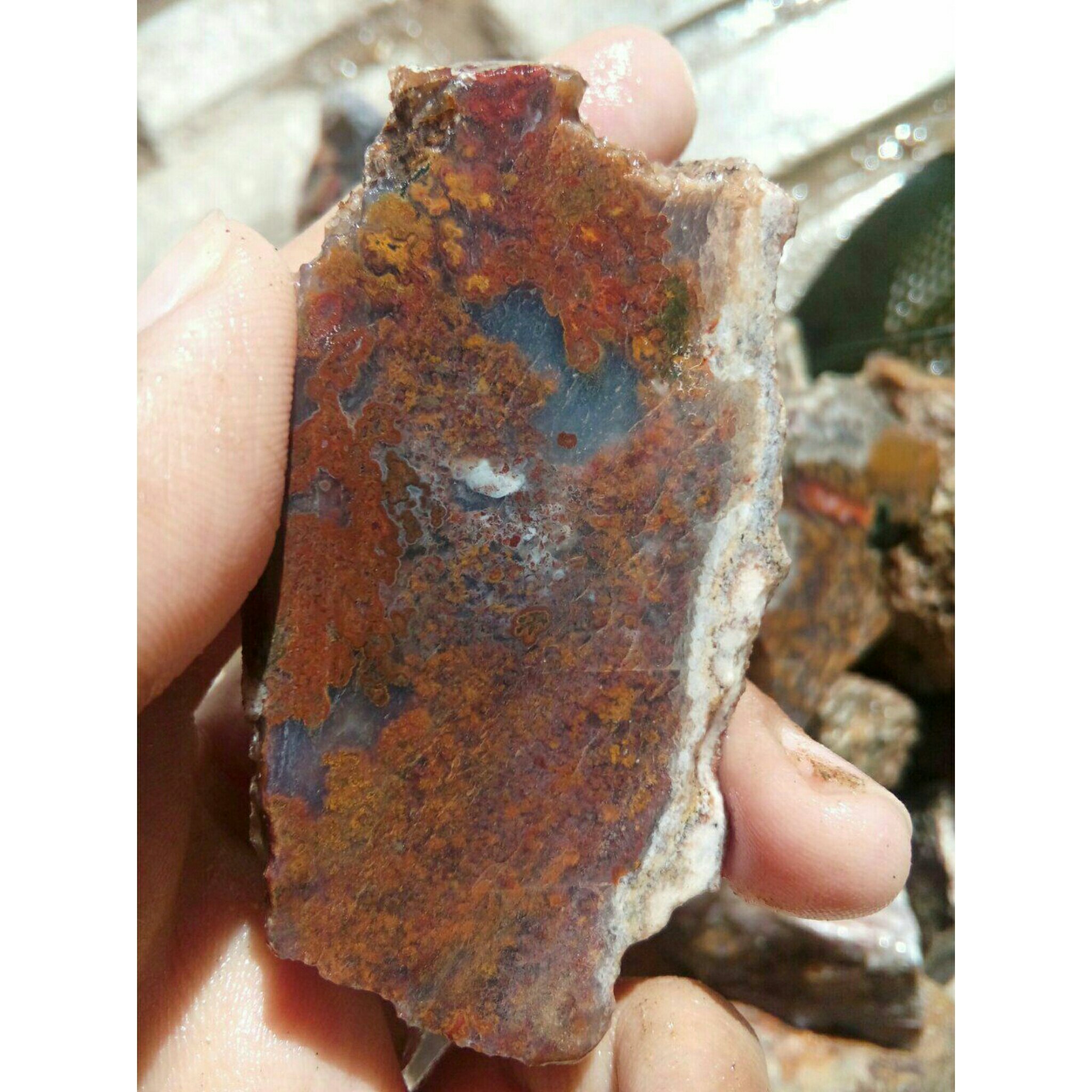 راف شجر هفت رنگ مختص تراش نگین و کلکسیون بسیار خوش رنگ و زیبا