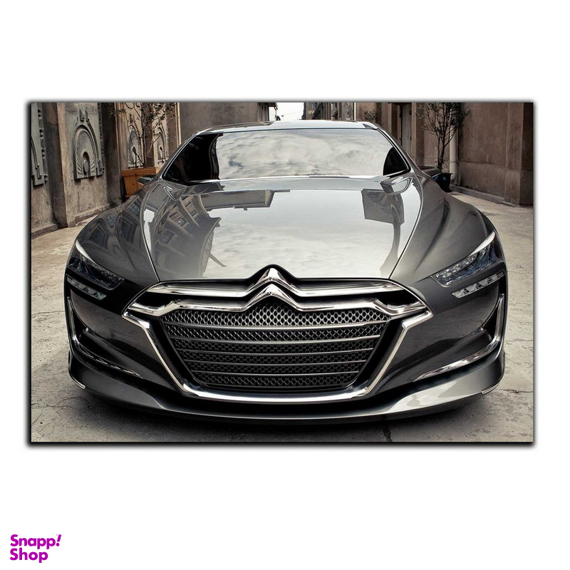 تابلو شاسی بکلیت طرح ماشین سیتروئن مدل SH-4646