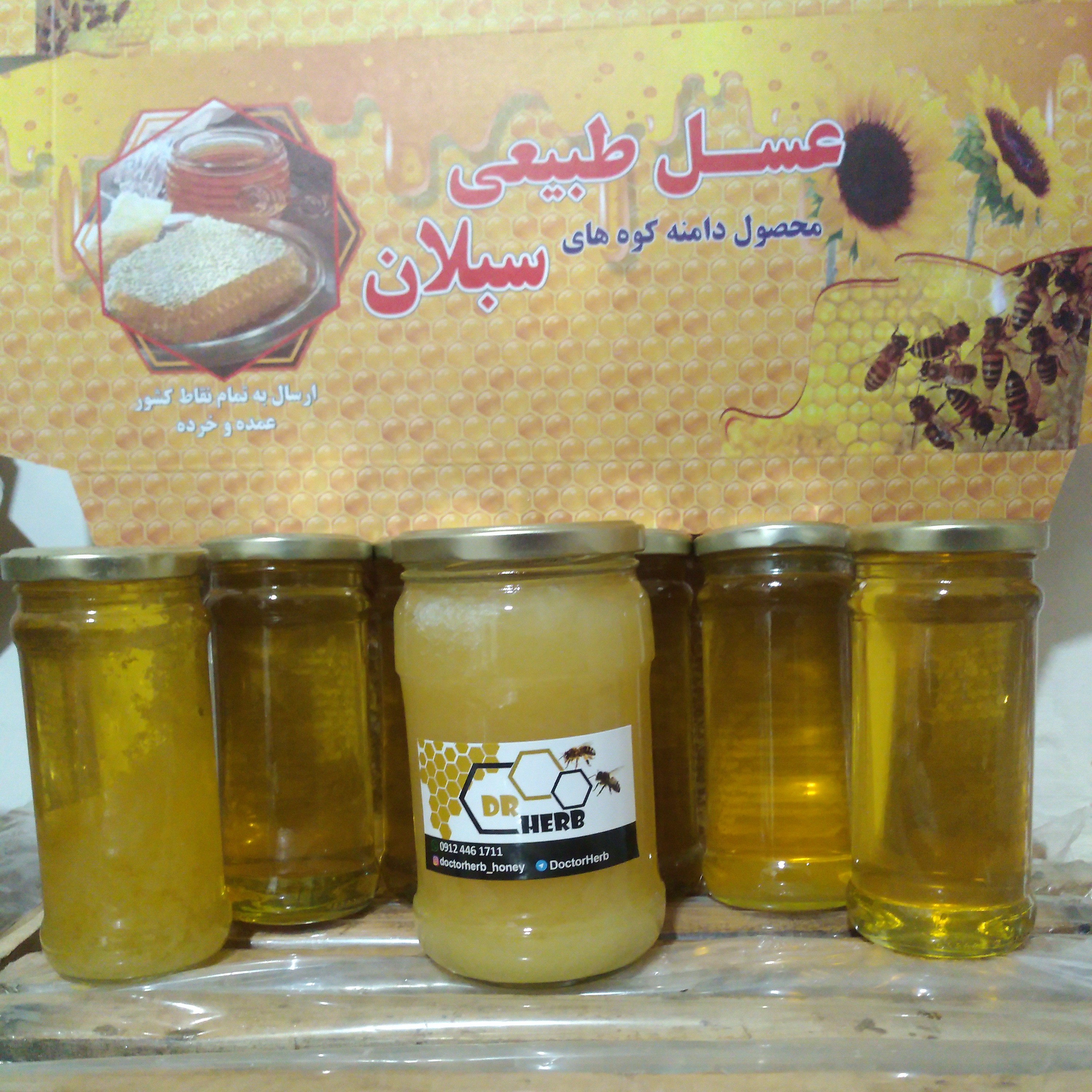 عسل پونه یک کیلوگرم