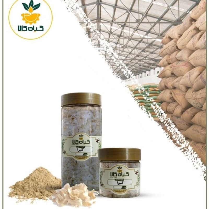  صمغ کتیرا با کیفیت عالی، بار امسالی و تازه(65گرمی)