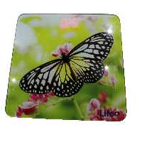 ترازو وزن کشی