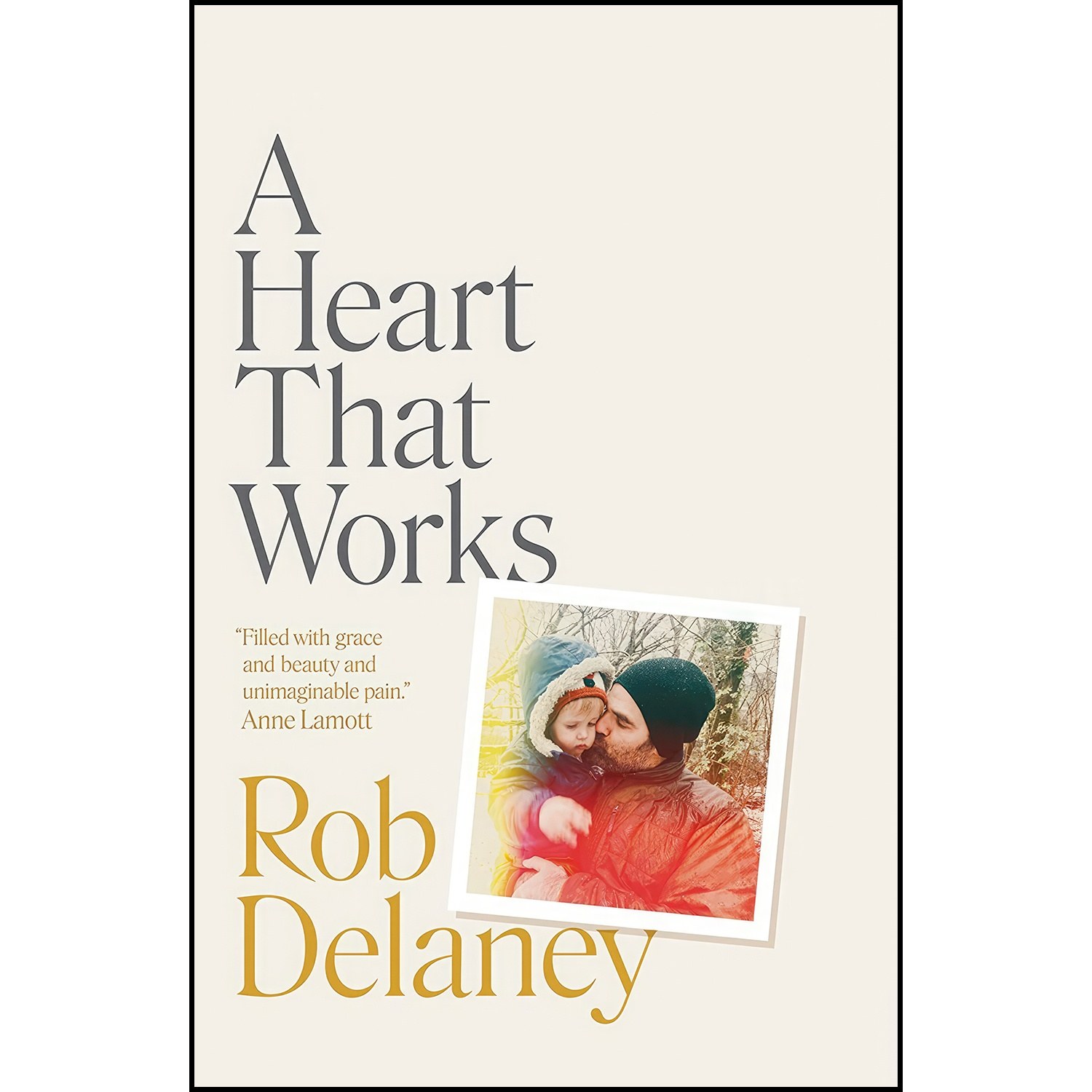 کتاب زبان اصلی A Heart That Works اثر Rob Delaney