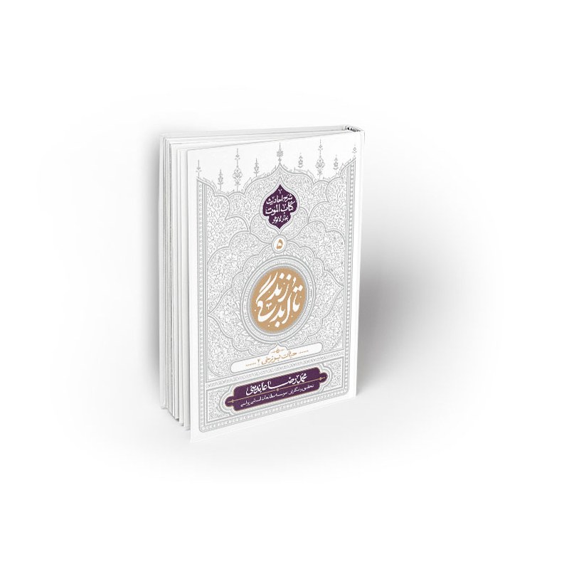 کتاب تا ابد زندگی دفتر پنجم حیات برزخی 2 نویسنده محمدرضا عابدینی نشر معارف