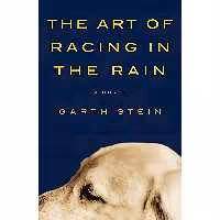 کتاب زبان اصلی The Art of Racing in the Rain اثر Garth Stein انتشارات Harper