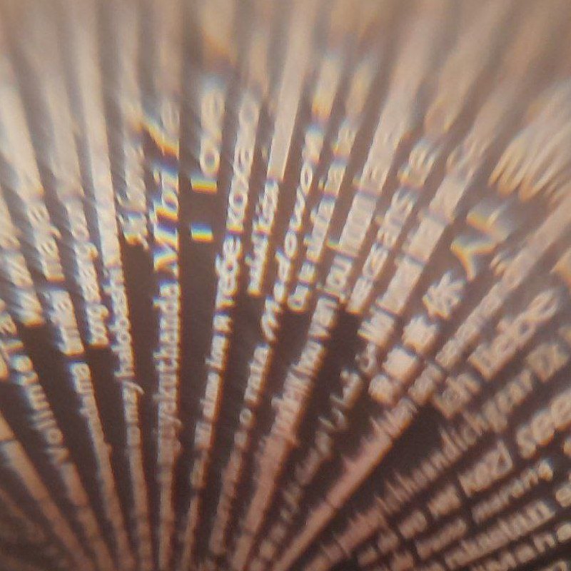 نگین دوستت دارم