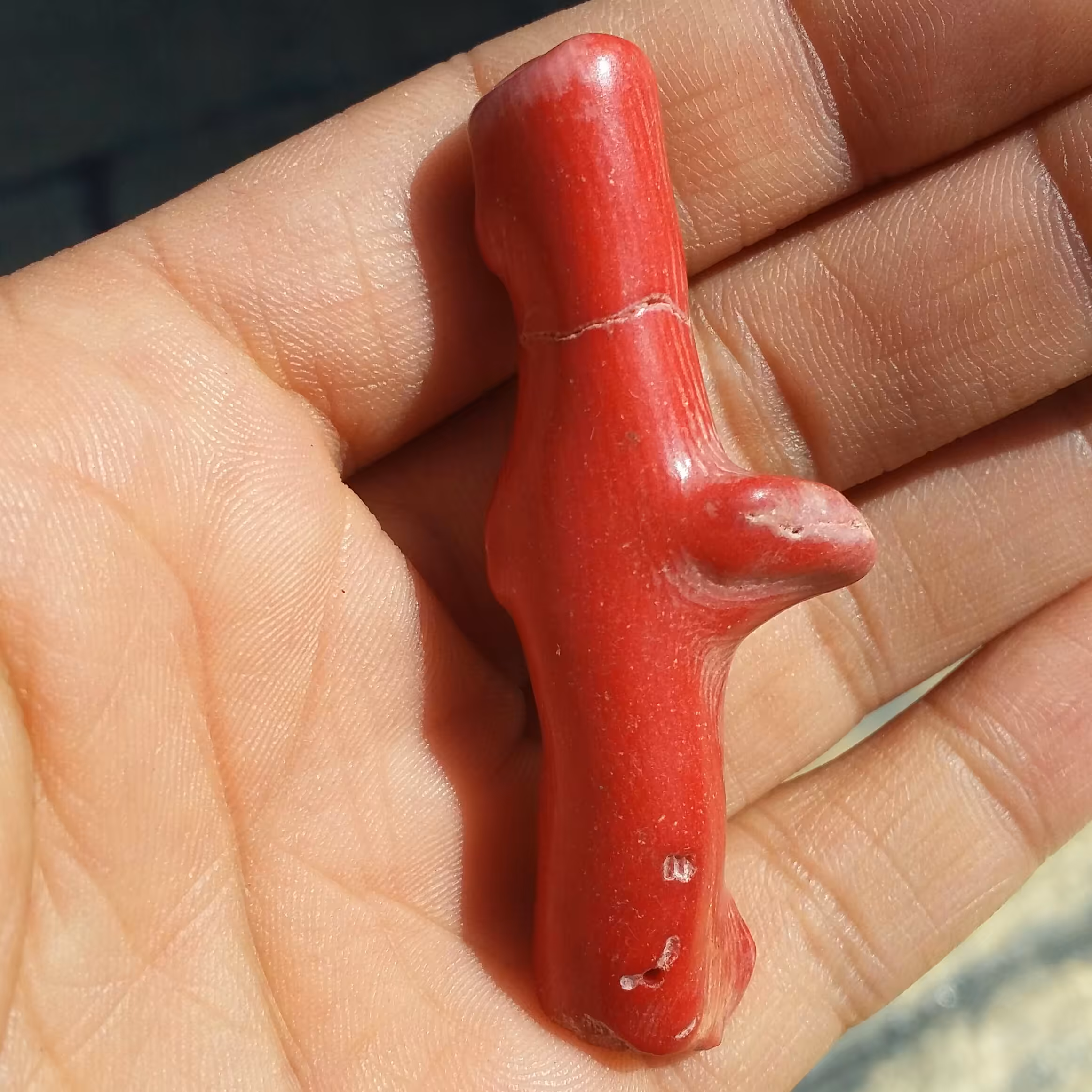 مرجان قرمز (سرخ) سایز غولپیکر مناسب گردنبند صد در صد طبیعی و اصل کد :  9561