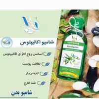 شامپو اکالیپتوس ارگ20( 250میل)