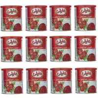 رب گوجه فرنگی هایلی - بسته 12 عددی