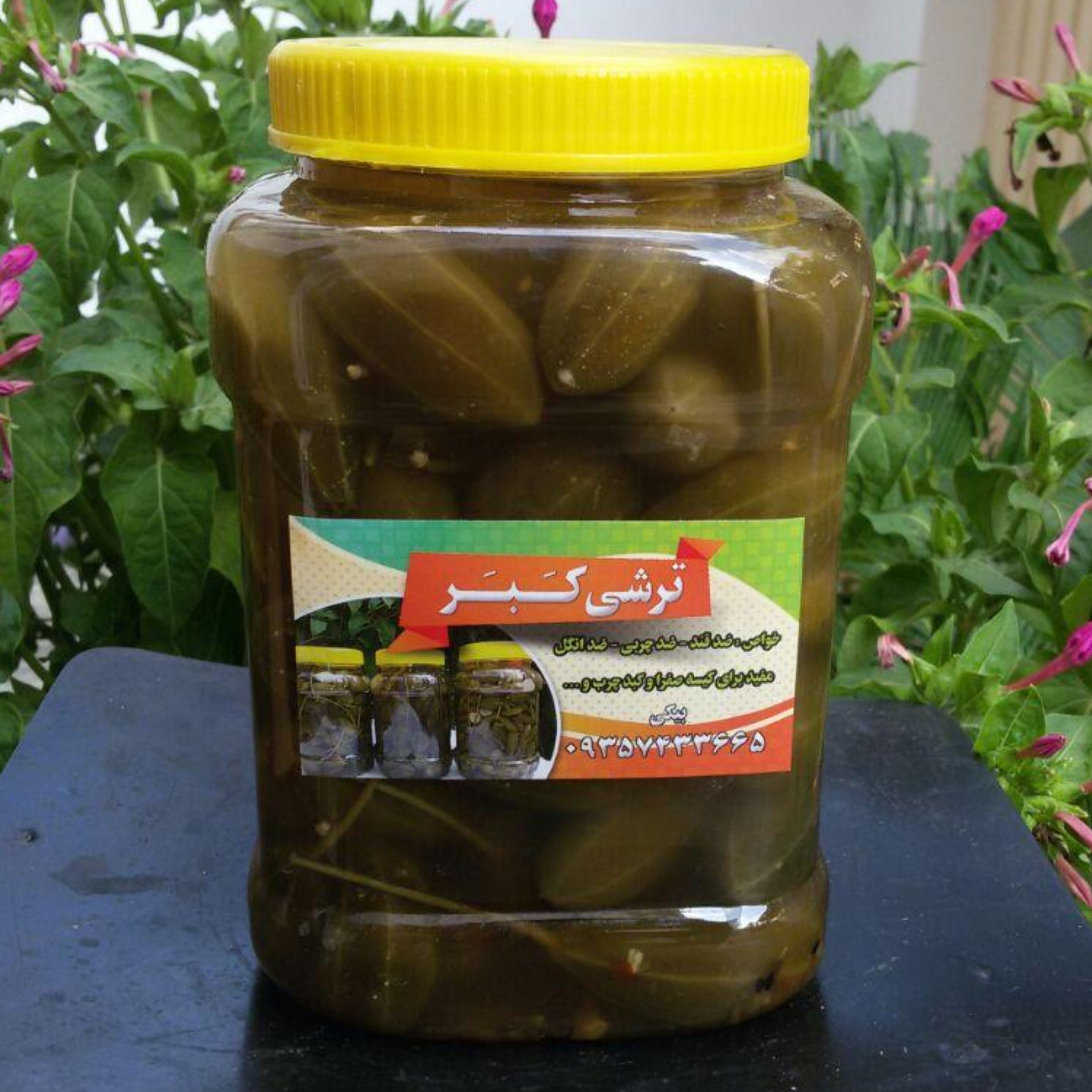 ترشی خیار درشت کبر وزن 1500 گرمی