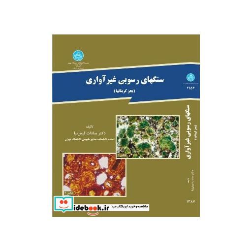 کتاب سنگ های رسوبی غیر آواری 2153 اثر دکتر سادات فیض نیا