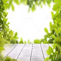 بک دراپ عکاسی محصول چوبی با برگ | گرافیک با طعم تربچه