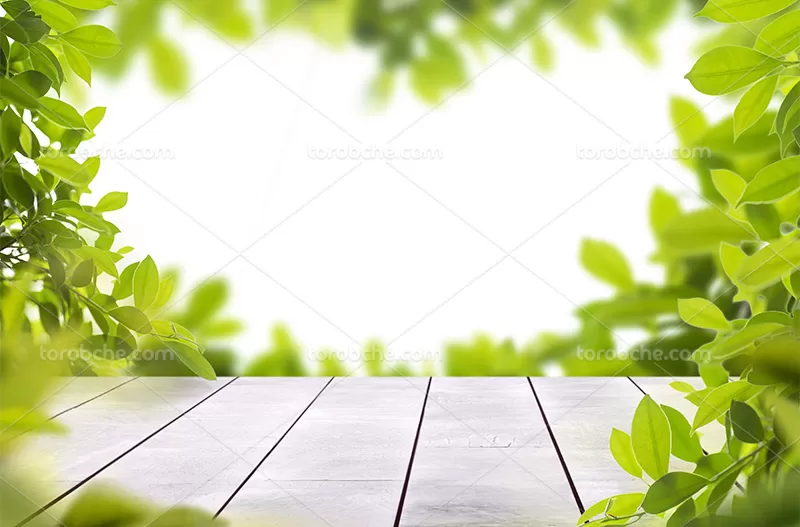 بک دراپ عکاسی محصول چوبی با برگ | گرافیک با طعم تربچه