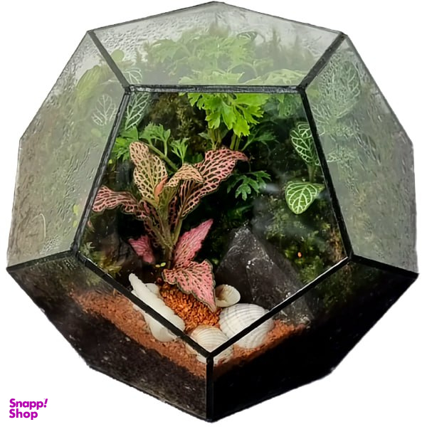 تراریوم مدل پنتاگون کد 029