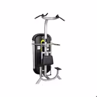 دستگاه پارالل بارفیکس کمکدار تن آسا مدل TS128