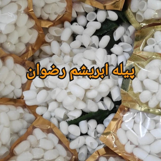 پیله ابریشم پک 1000 عددی (برش خورده)