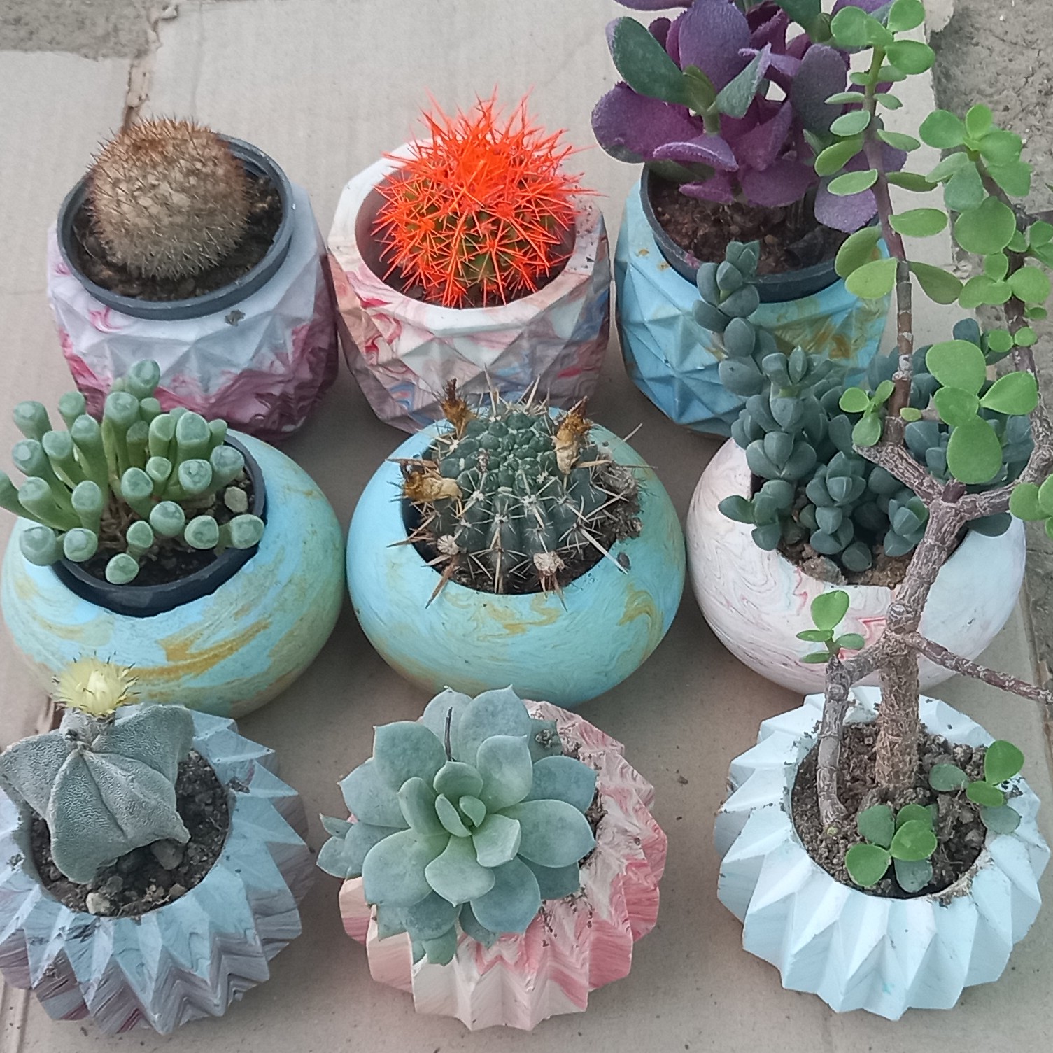 کاکتوس  میکس گلدان سنگی طرح دار و رنگی پک 9 عددی 