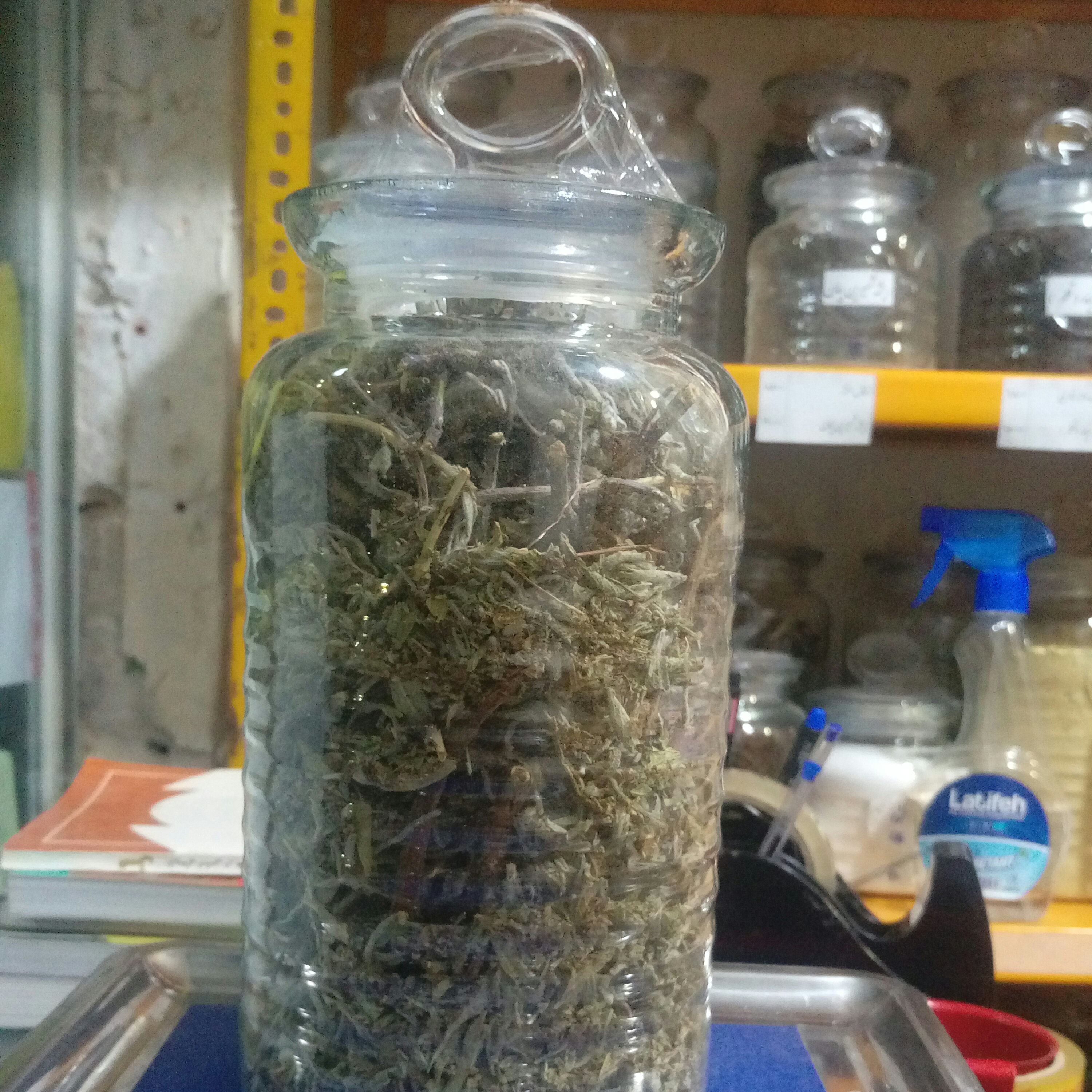 مریم گلی یک سیر