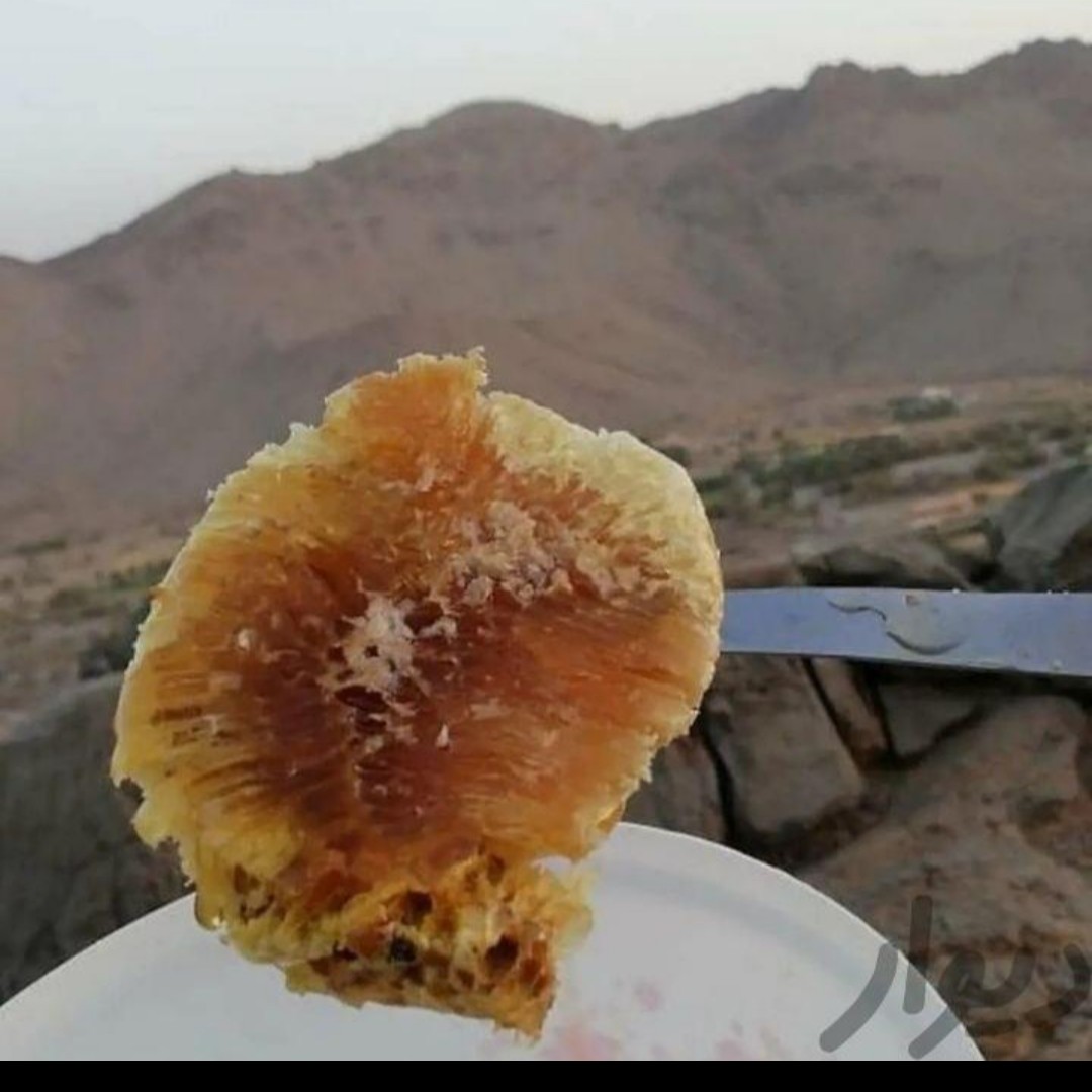 عسل کوهی طبیعی 2 کیلویی