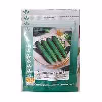 بذر خیار طلوع