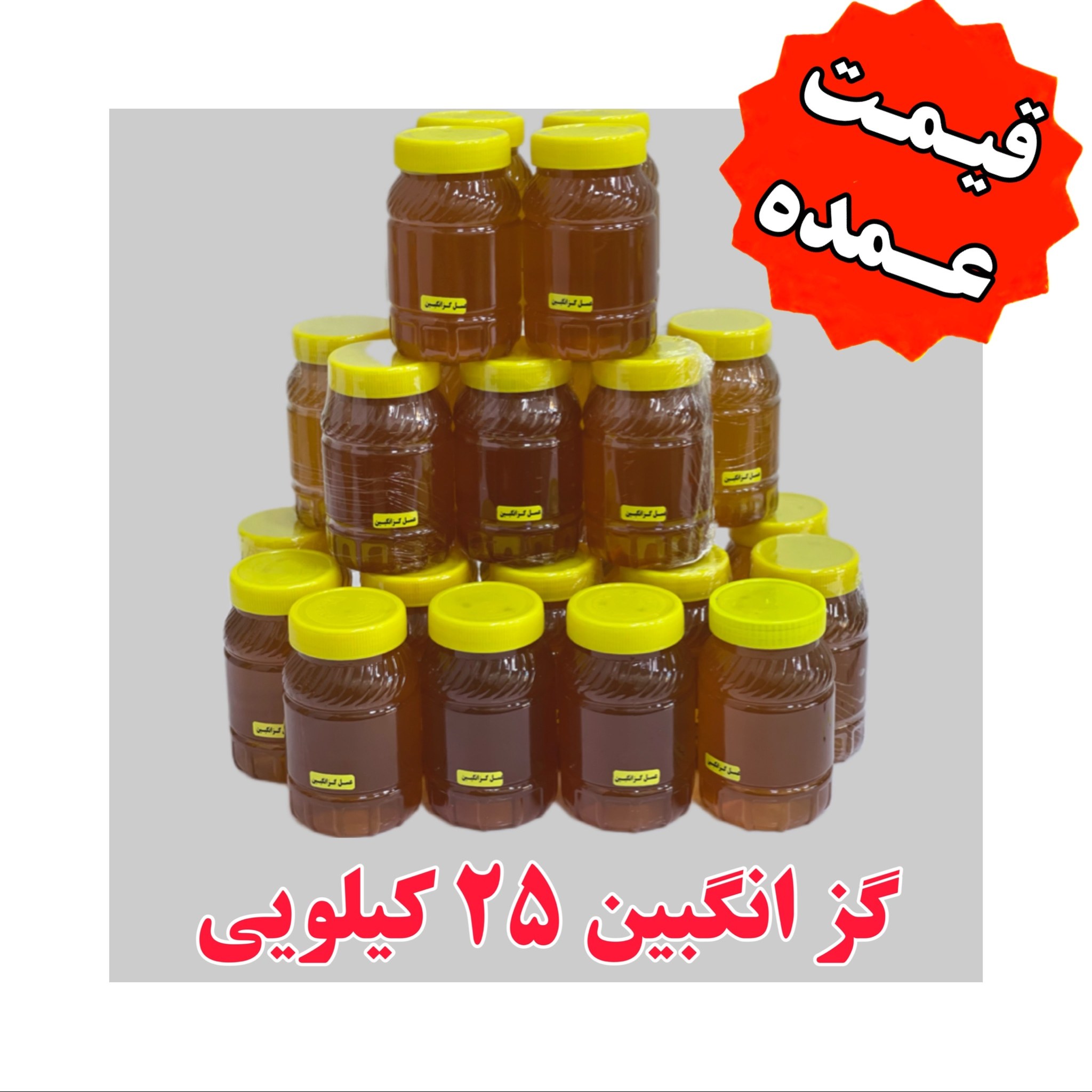 عسل گزانگبین عمده (23 کیلو در ظرف یک کیلویی)