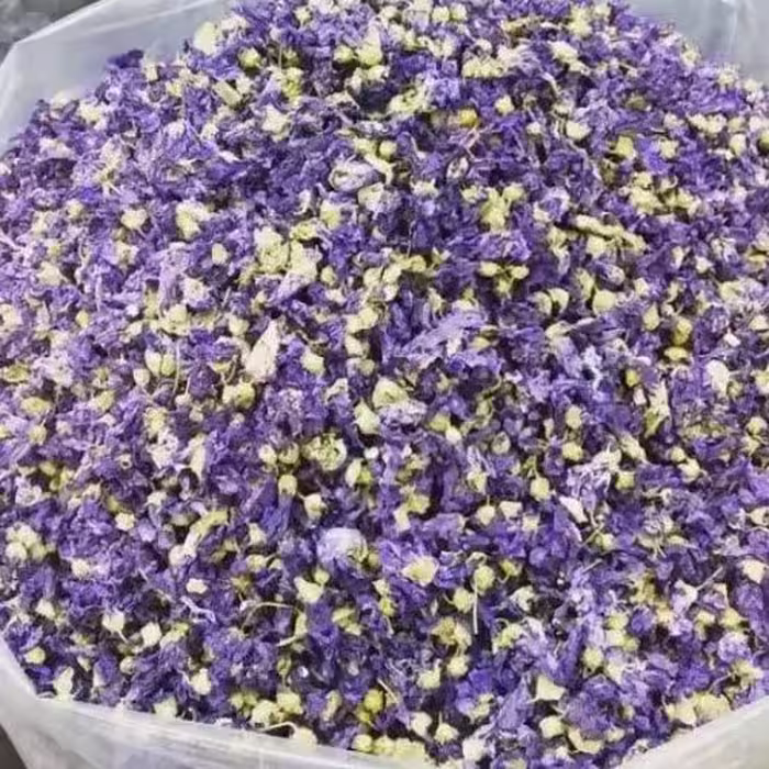 گل ختمی  تازه و درجه یک(یک کیلو)