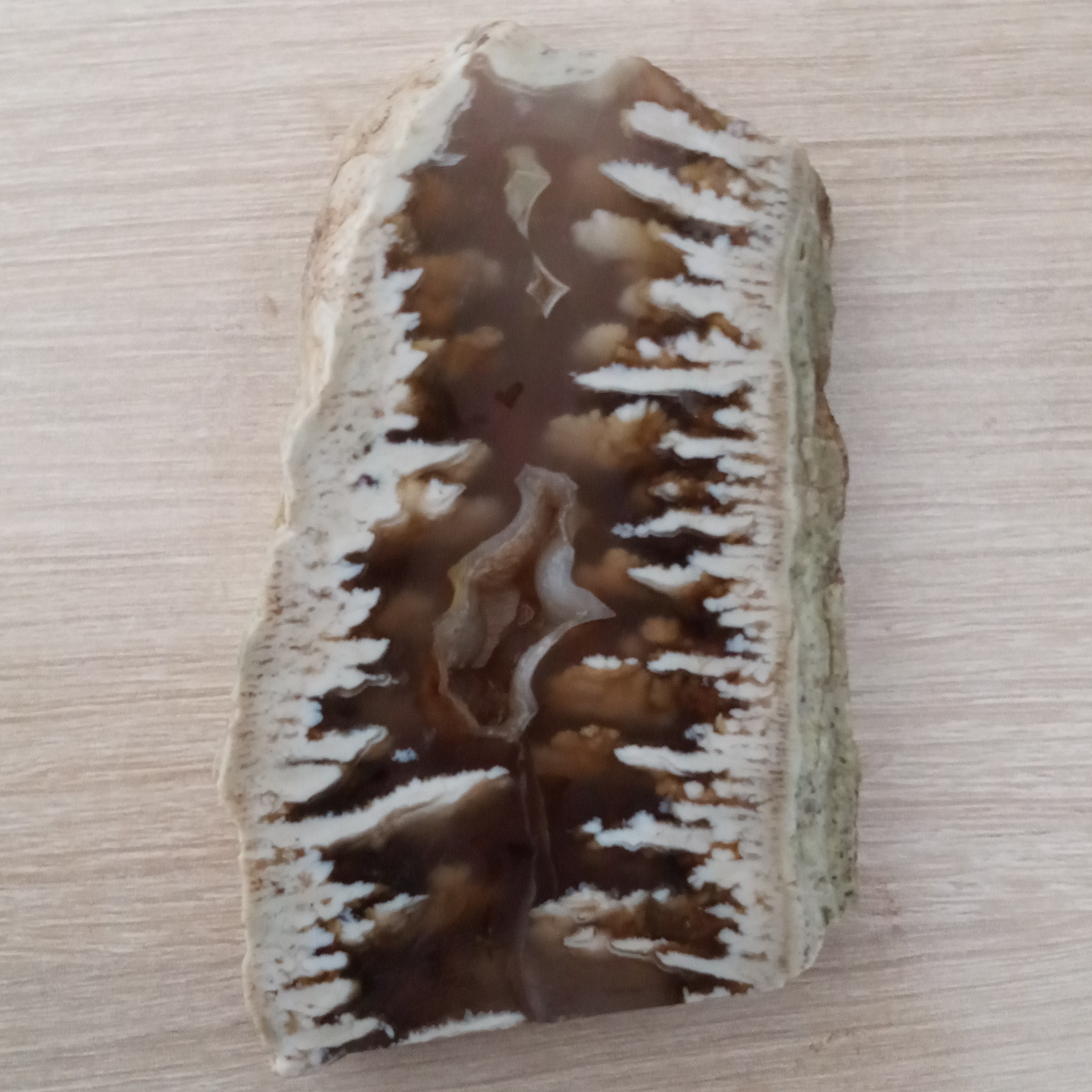 اسلایس شجر زیبا