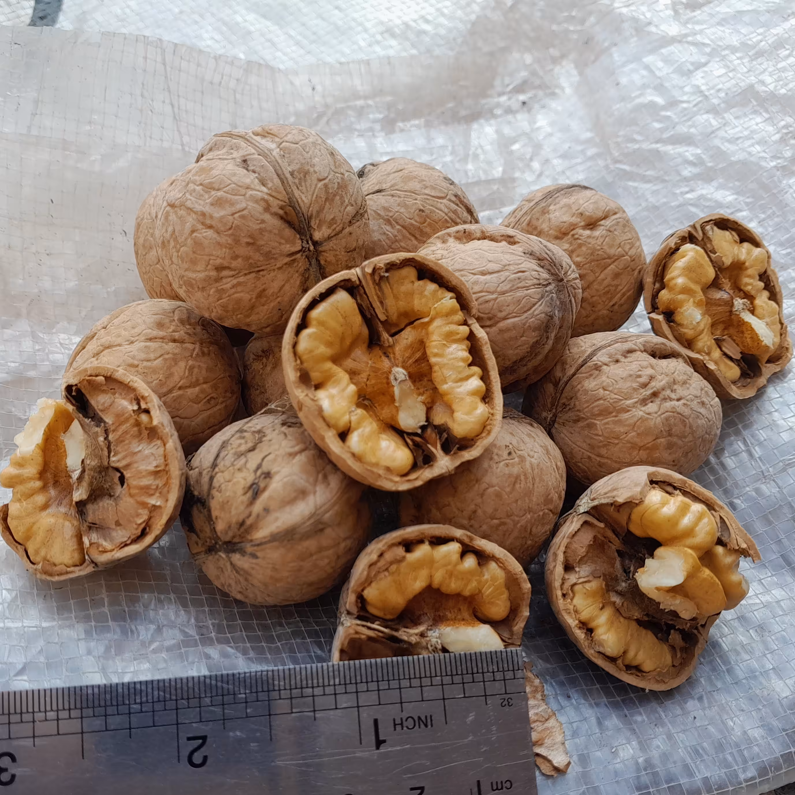 گردو سوپر لاکچری در اندازه درشت  و مغز های سفید با وزن  1kg  