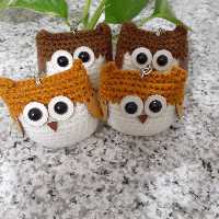 جا کلیدی جغد