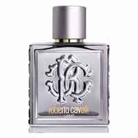 ادو تویلت مردانه roberto cavalli Uomo Silver Essence حجم 100 میلی لیتر