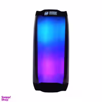 اسپیکر قابل حمل پودر مدل PD980