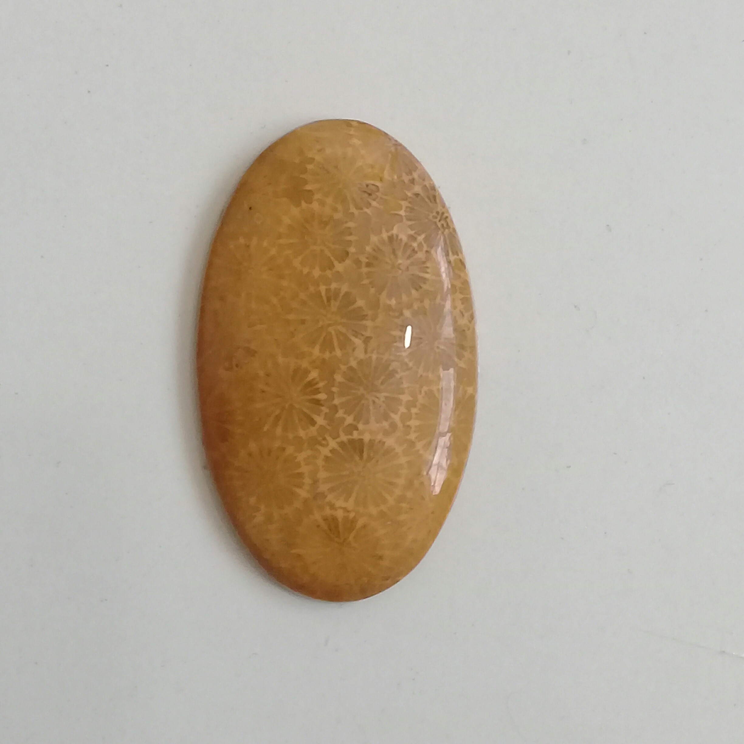 عقیق سلولی(سنگ مرجان) بسیار زیبا سایز درشت مناسب گردنی