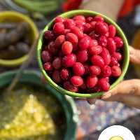 ترشی زغال اخته