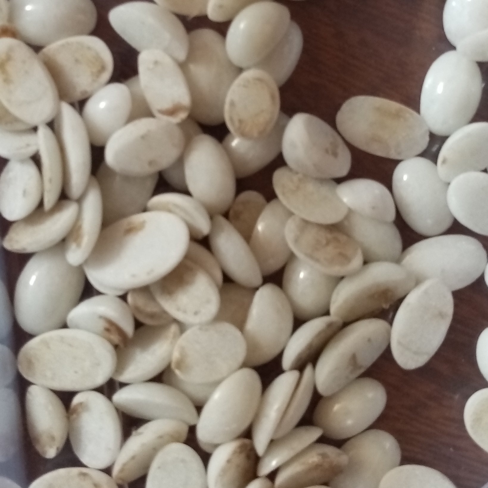 نگین از داخل حرم حضرت ابالفضل ع