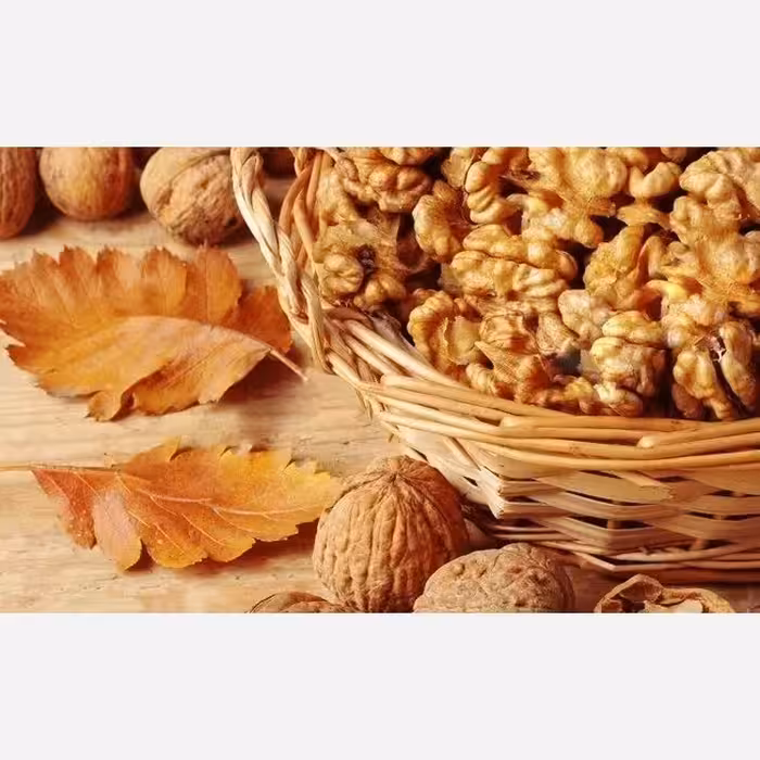 گردو  ایرانی محصول 1403 خوانسارمغز سفید و بسیار چرب 