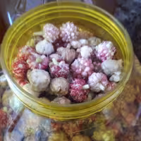 ترشی گل سیر خانگی  مازند مزرعه( نیم کیلو)